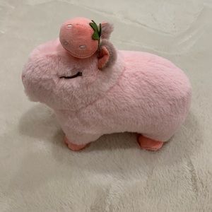 Strawberry Capybara (Zena)